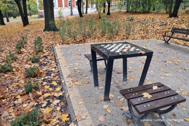 Park Tysiąclecia w Zielonej Górze po remoncie