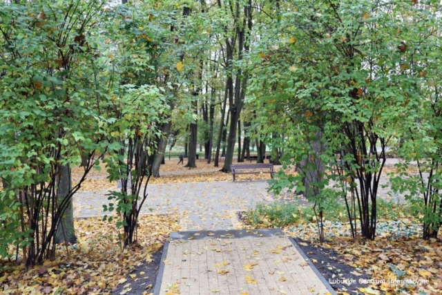 Park Tysiąclecia w Zielonej Górze po remoncie