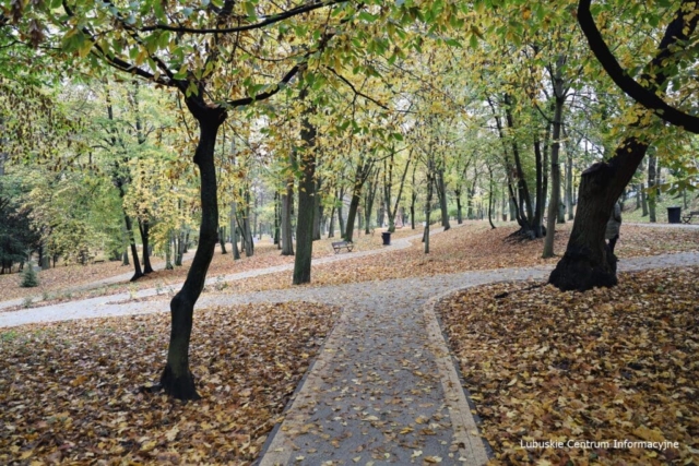 Park Tysiąclecia w Zielonej Górze po remoncie