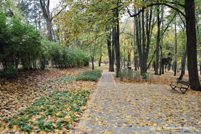 Park Tysiąclecia w Zielonej Górze po remoncie