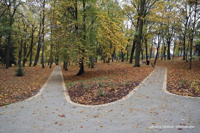 Park Tysiąclecia w Zielonej Górze po remoncie