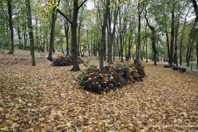 Park Tysiąclecia w Zielonej Górze po remoncie