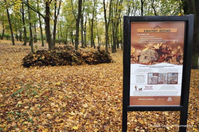 Park Tysiąclecia w Zielonej Górze po remoncie