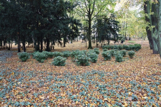 Park Tysiąclecia w Zielonej Górze po remoncie