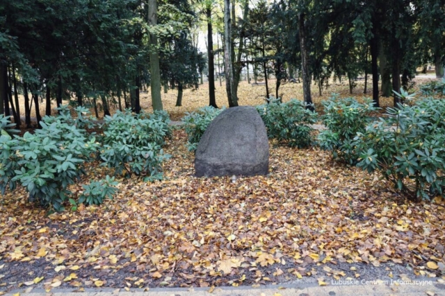 Park Tysiąclecia w Zielonej Górze po remoncie