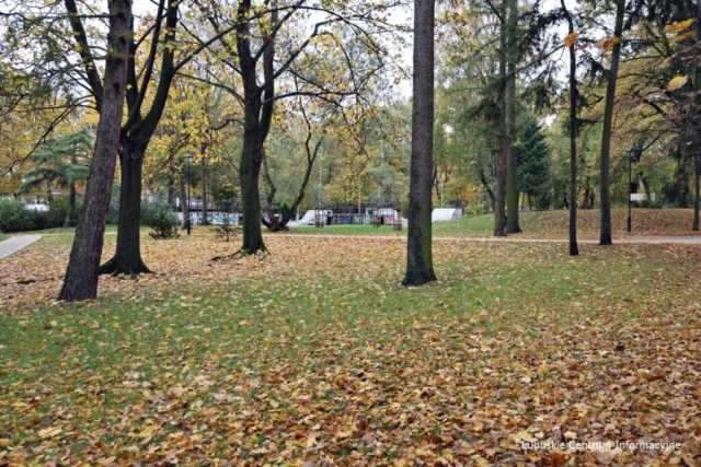 Park Tysiąclecia w Zielonej Górze po remoncie