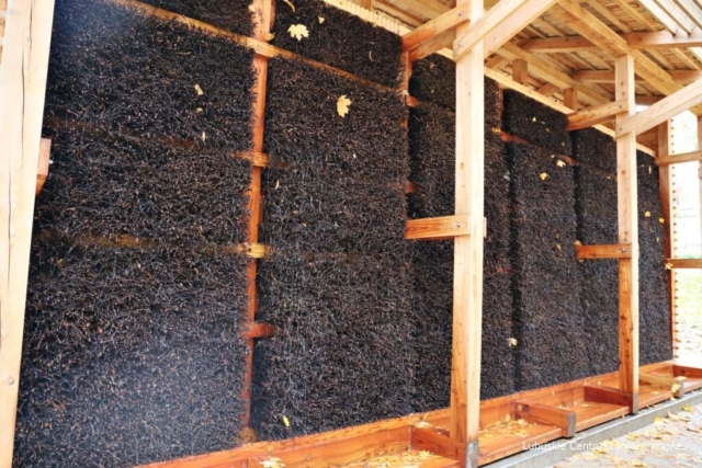 Park Tysiąclecia w Zielonej Górze po remoncie