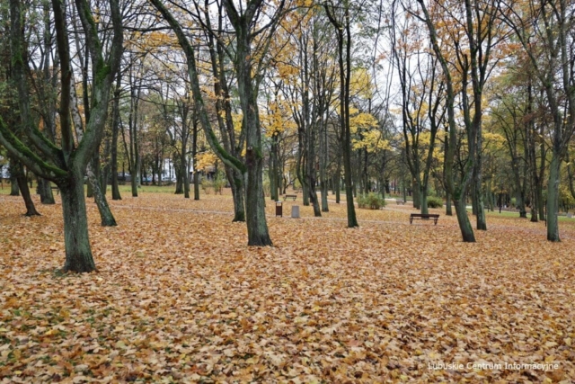 Park Tysiąclecia w Zielonej Górze po remoncie