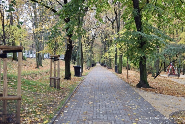 Park Tysiąclecia w Zielonej Górze po remoncie
