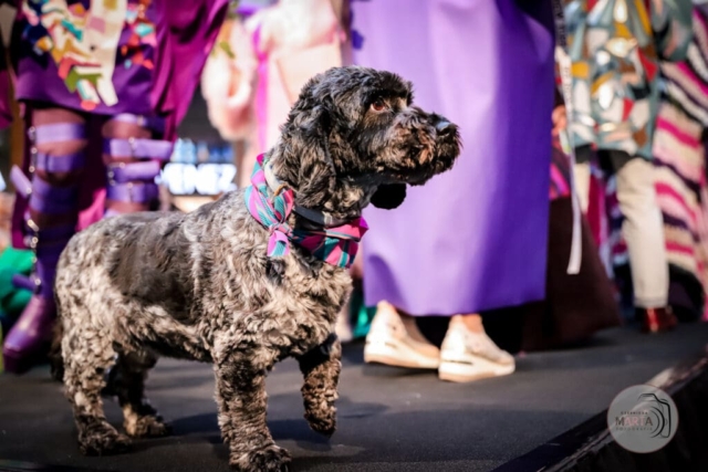 Pokaz Ślizowskiej-140