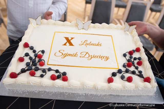 X sejmik dziecięcy. 03.06.2024