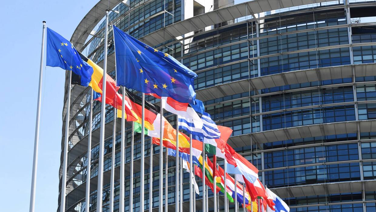   Koalicja Obywatelska wygrywa wybory europarlamentarne