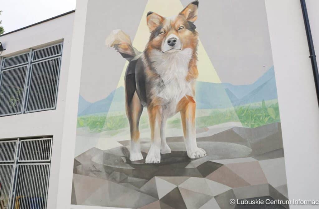 budynek schroniska w Zielonej Górze