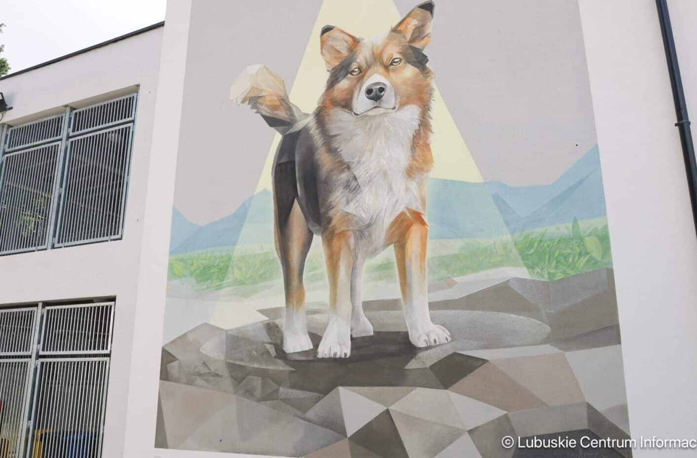 Schronisko w Zielonej Górze budynek schroniska w Zielonej Górze Nowy dom bezdomniaków