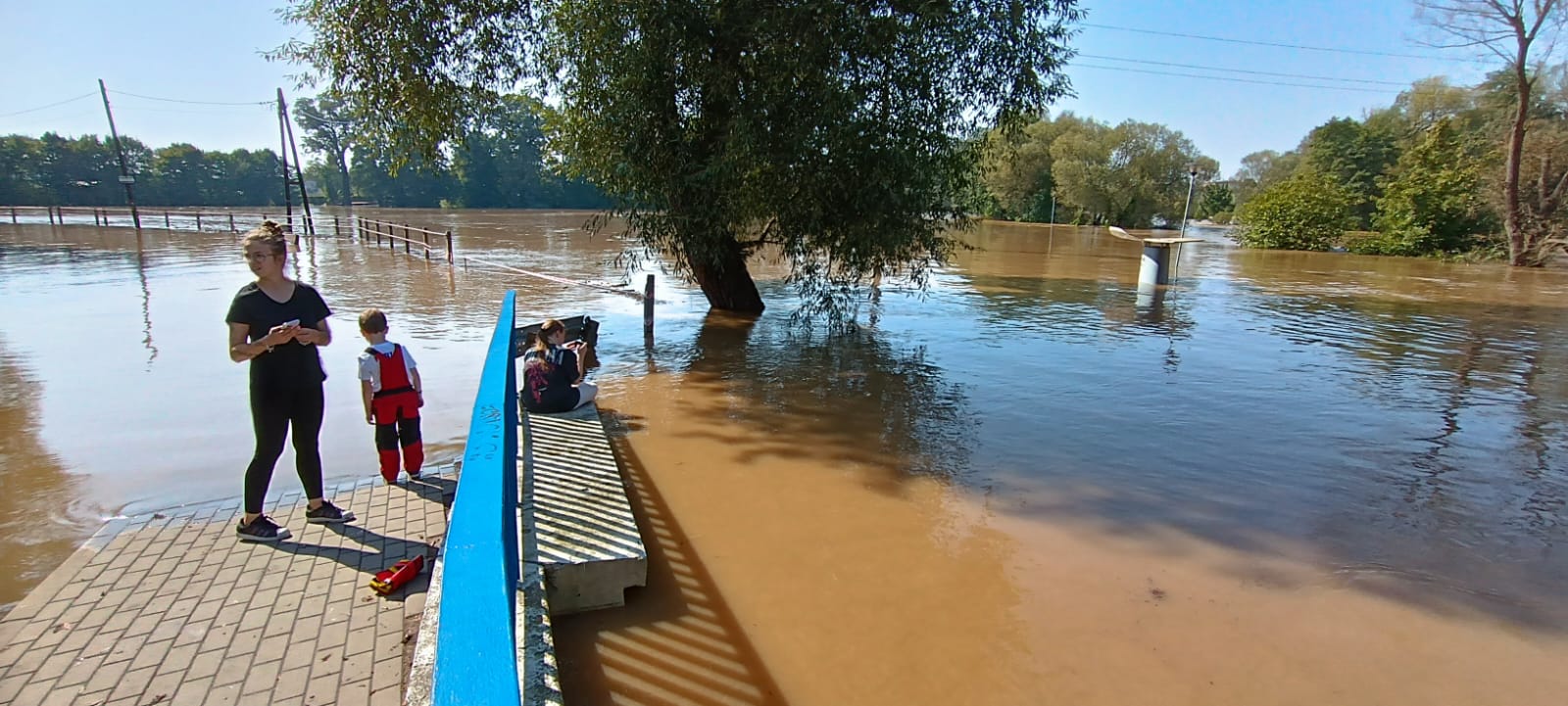 17c1805d-9d14-478e-bfda-b054fcdff927 Bóbr zalewa Szprotawę dociera do centrum Biorą pod uwagę czarny scenariusz relacja na żywo