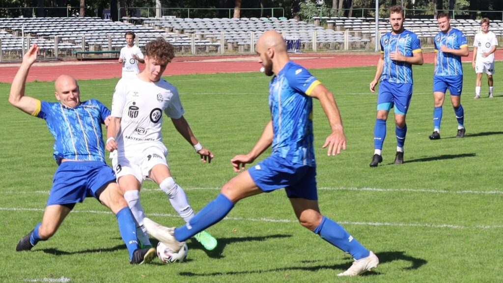 Siedmiu mężczyzn na boisku