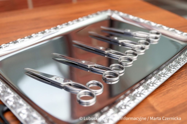 fot. Marta Czernicka-05