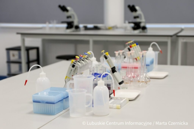 fot. Marta Czernicka-27