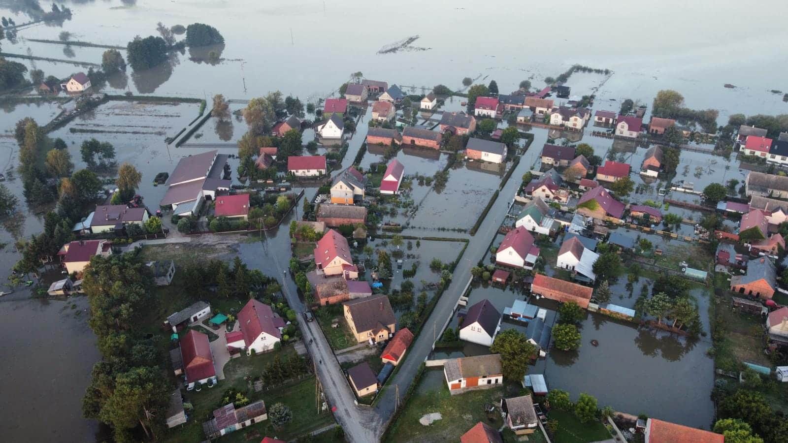   Wielka woda dociera do Krosna Odrzańskiego Są pierwsze podtopienia w gminie WIDEO