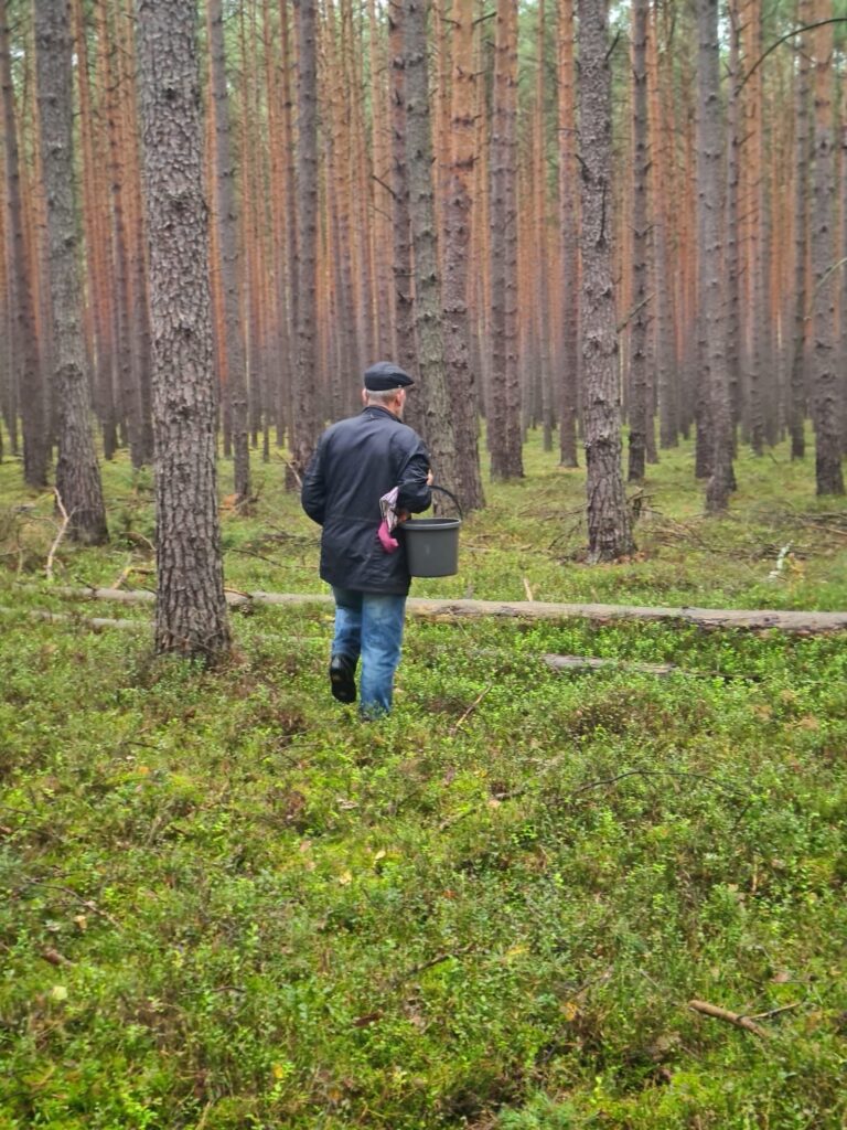 Na grzyby tylko z rozwagą Człowiek w lesie szukający grzybów.