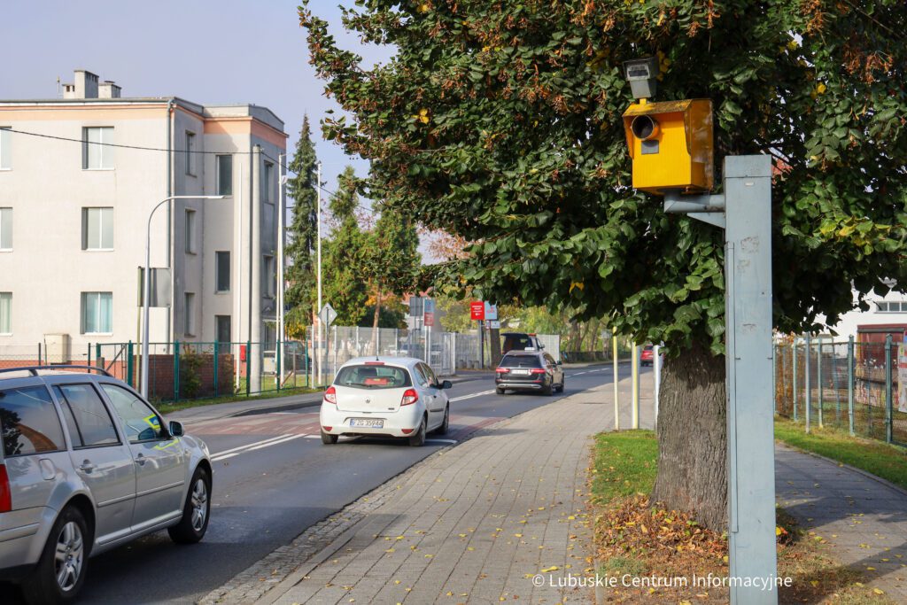 Niedziałający fotoradar stojący na drodze miejskiej przy Parku Krasnala w Nowej Soli Fot. Łukasz Wawer