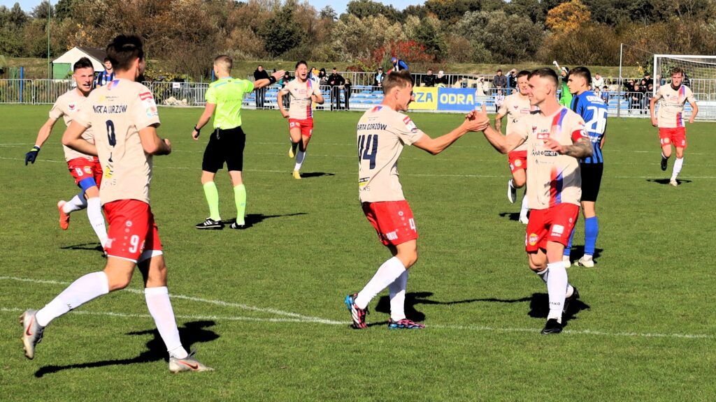 Dziesięciu mężczyzn na boisku