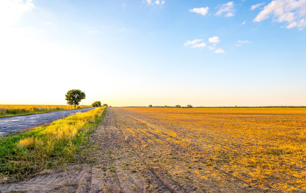 Tereny przy Mironickiej