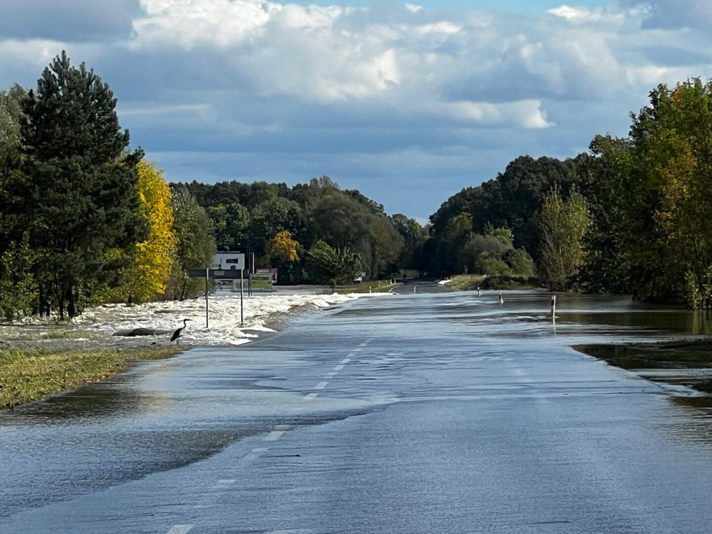   Drogi wojewódzkie potrzebują modernizacji po powodzi W jakim są stanie