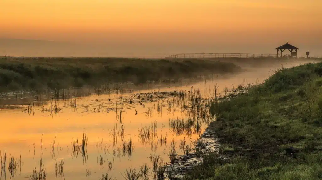 Widok Parku Narodowego Ujście Warty o poranku