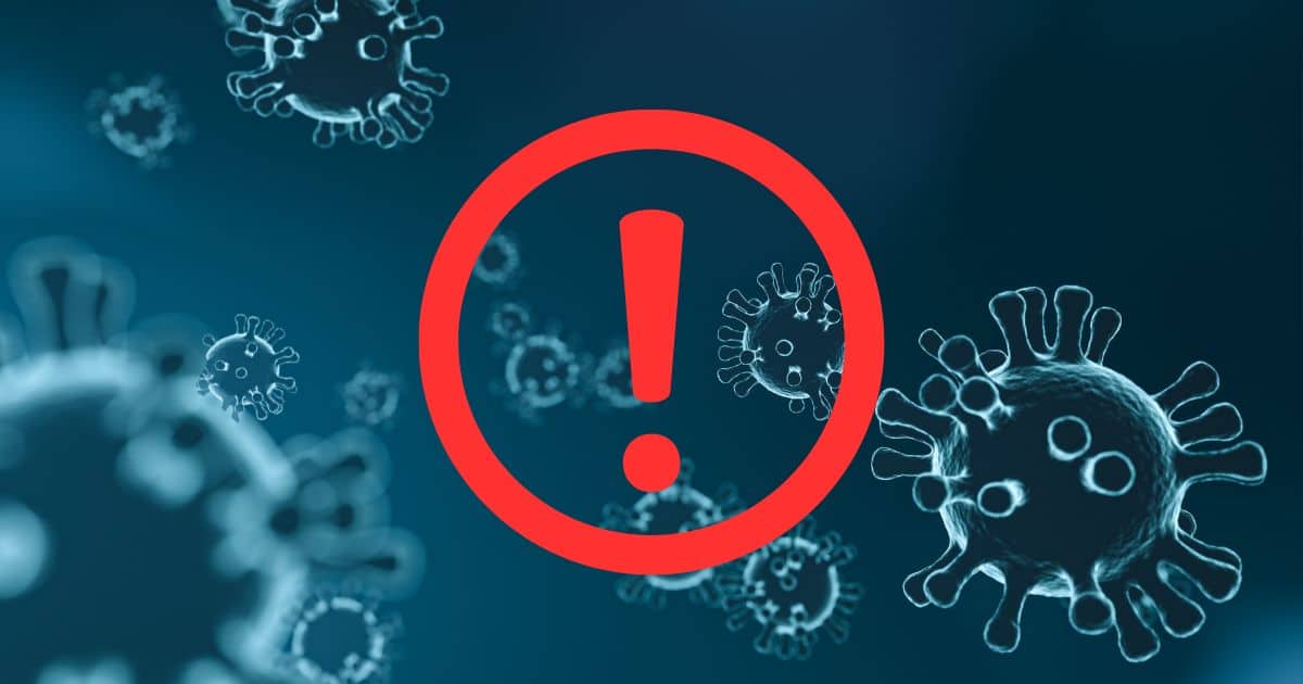   Wzrost zachorowań na wirusowe zapalenia wątroby typu A w powiecie gorzowskim