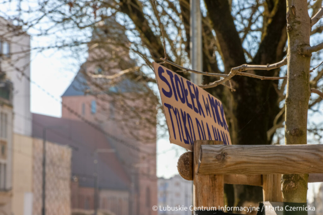 fot. Marta Czernicka-27