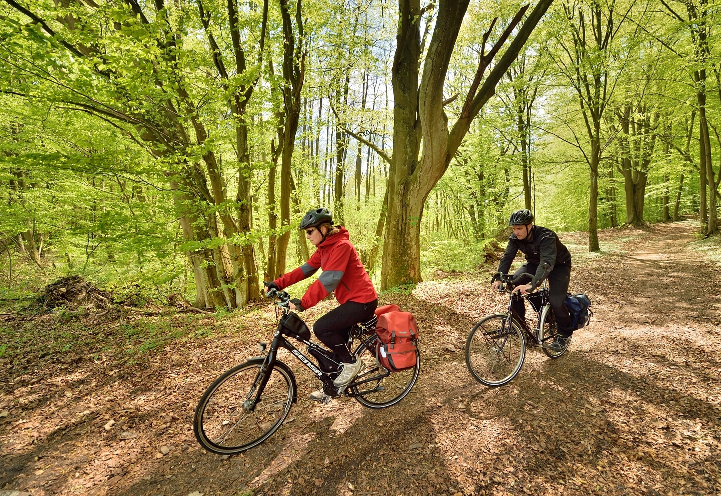 43_na_petli_wokol_jeziora_trzesniowskiego WIELKA MAJÓWKA Dziesięć wypraw po regionie