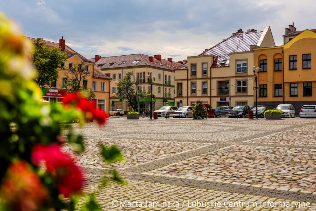 Najbliższy termin wizyty OPTO-BUS w gminie Strzelce Krajeńskie odbędzie się 4 lutego 2026 roku (środa) w miejscowości Bobrówko