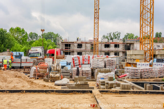 fot. Marta Jamińska-1461