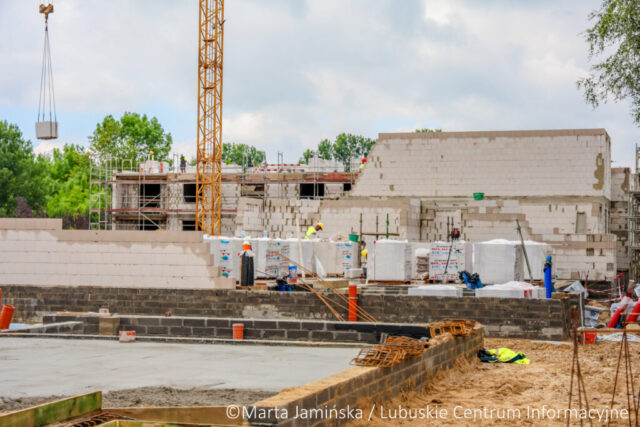 fot. Marta Jamińska-1466