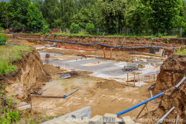 fot. Marta Jamińska-1502