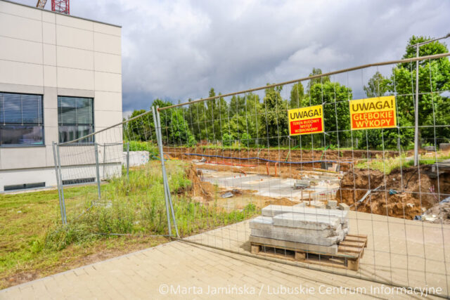 fot. Marta Jamińska-1503