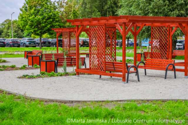 fot. Marta Jamińska-1510