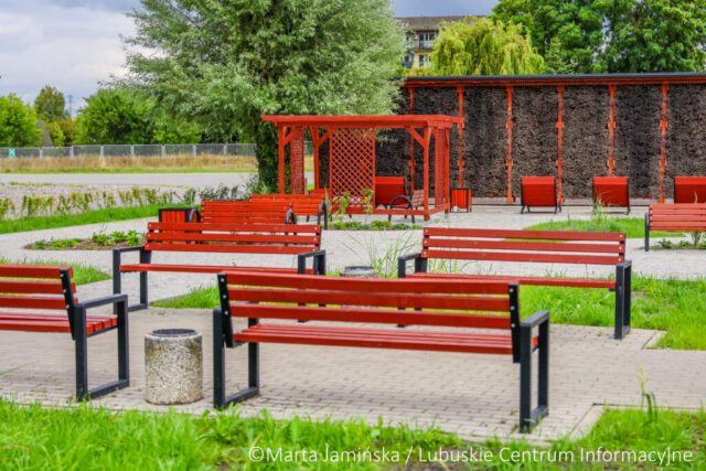 fot. Marta Jamińska-1511