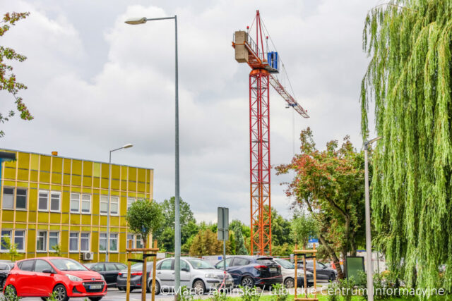 fot. Marta Jamińska-1519