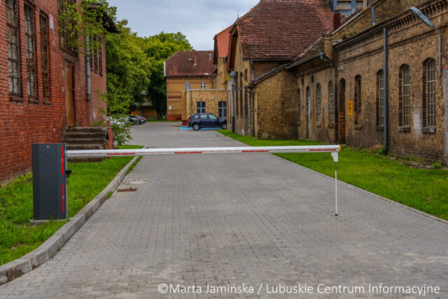 fot. Marta Jamińska-1535