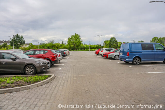 fot. Marta Jamińska-1536