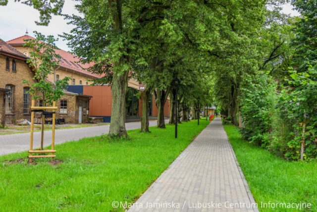 fot. Marta Jamińska-1539