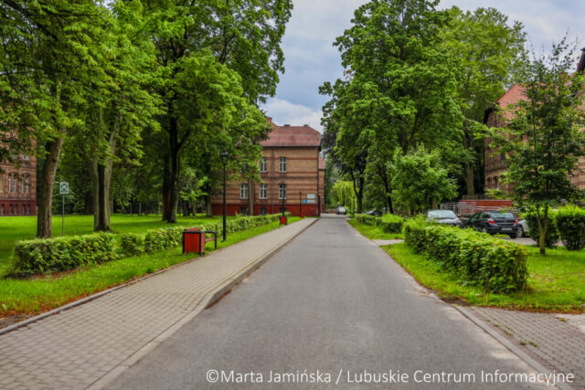 fot. Marta Jamińska-1540