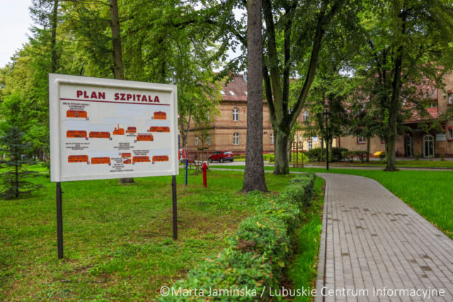 fot. Marta Jamińska-1542