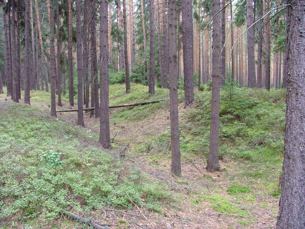   Kolejne odkrycie regionalistów Poznali lepiej najdłuższy zabytek archeologiczny w Polsce