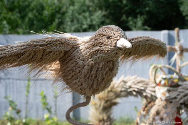 Powiatowe dożynki w Otyniu. 30.08.2025