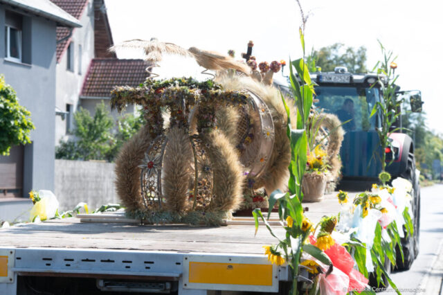 Powiatowe dożynki w Otyniu. 30.08.2025