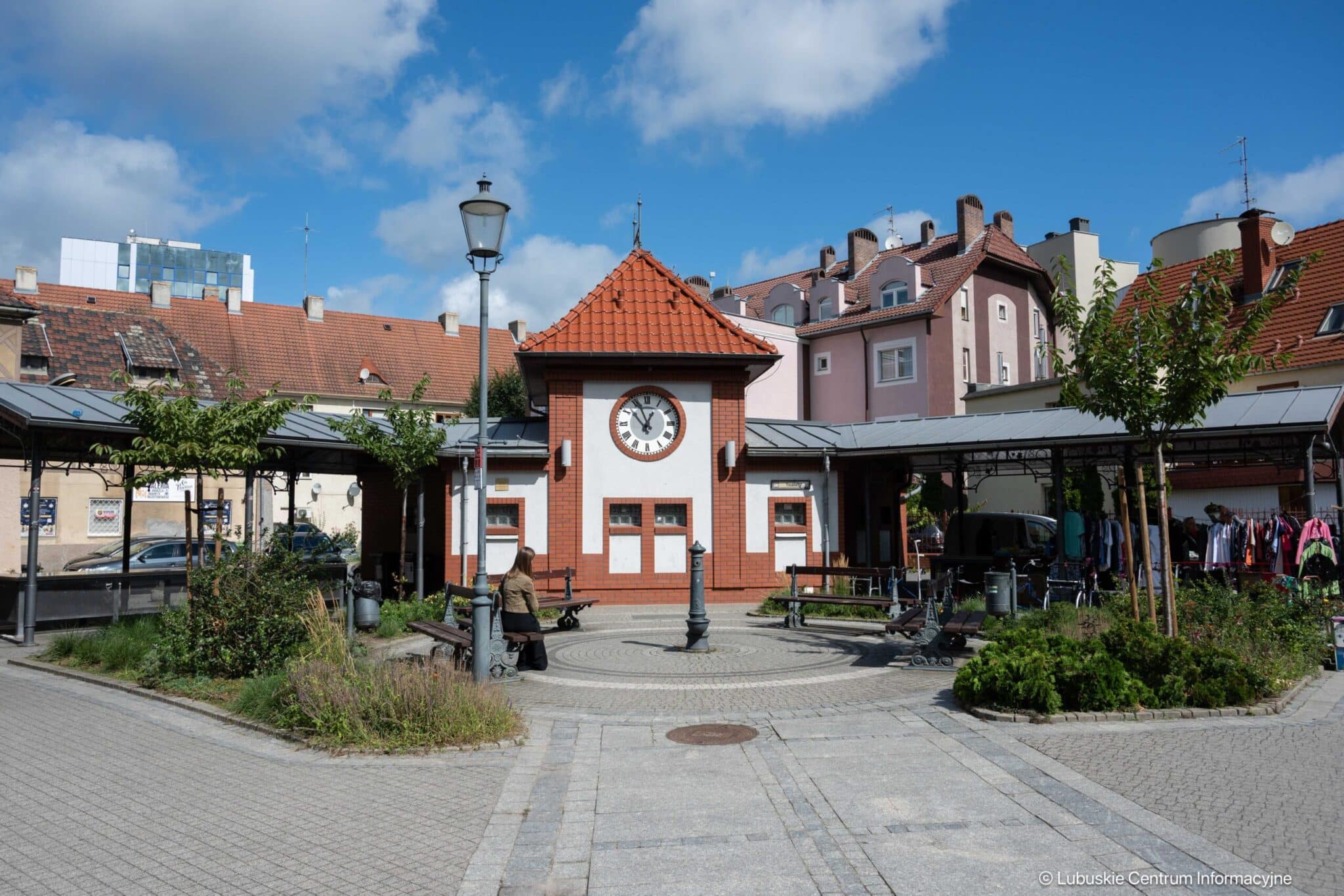   Co wyrośnie Pod Topolami