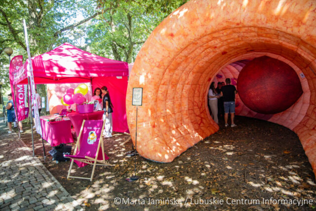 fot. Marta Jamińska-356